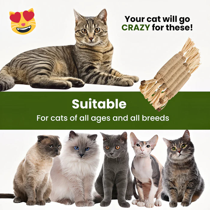 Silvervine Cat Dental Sticks