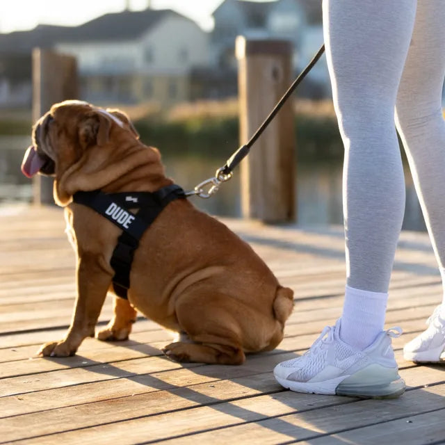 No-Pull Dog Harness
